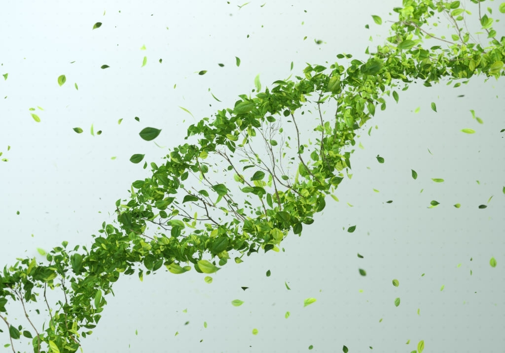 Digital generated image of DNA made out of green leaves on grey background